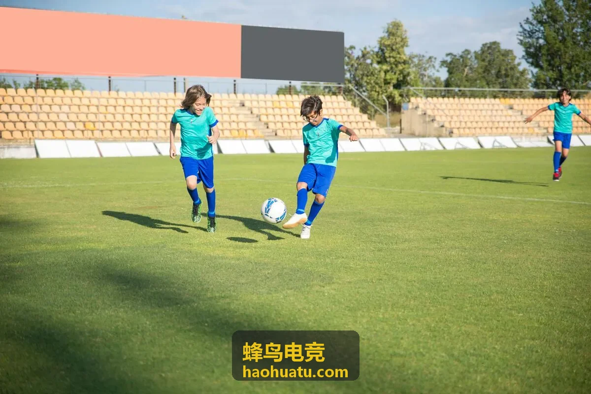 蜂鸟电竞校园电竞赛